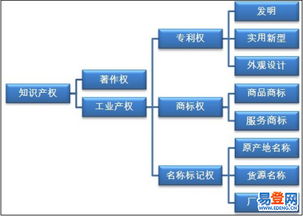 貴州省知識(shí)產(chǎn)權(quán)服務(wù)（商標(biāo)、專利、著作權(quán)） 精析易登網(wǎng)版權(quán)服務(wù)優(yōu)勢(shì)與適用范圍